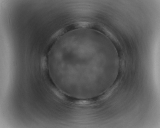 X0000115360361200911101201