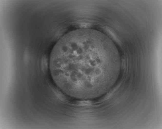 X0000115360363200911101201