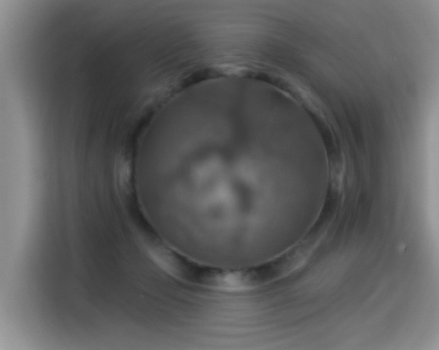 X0000115360365200911101201