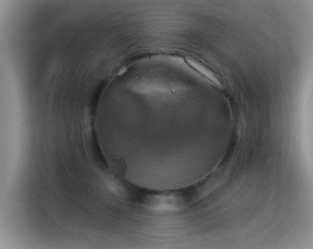 X0000115360366200911101201