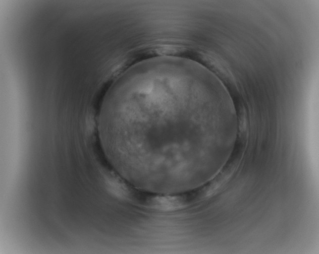 X0000115360367200911101201