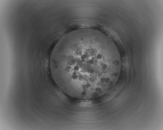 X0000115360369200911101201