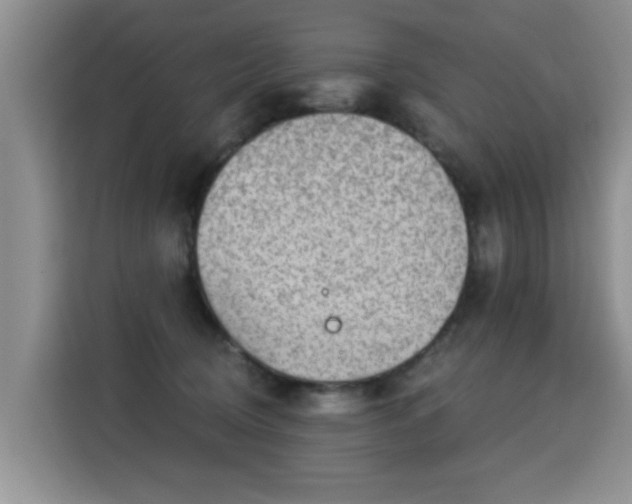 X0000115360370200911101201