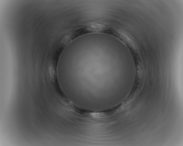 X0000115360371200911101201