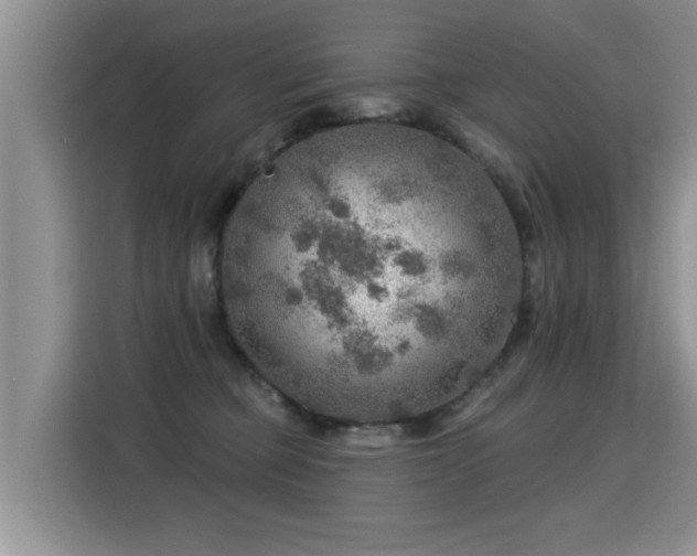 X0000115360373200911101201