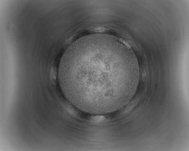 X0000115360374200911101201