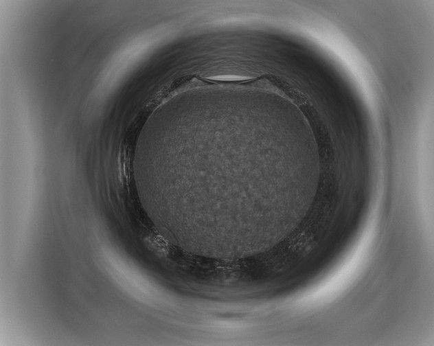 X0000115360382200911101201