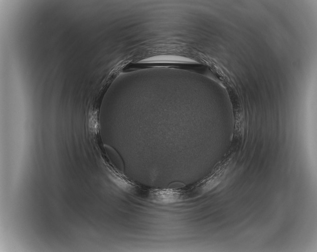 X0000115360383200911101201