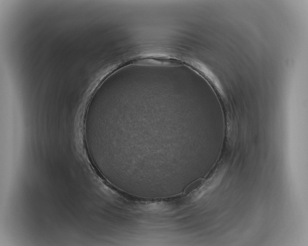 X0000115360385200911101201