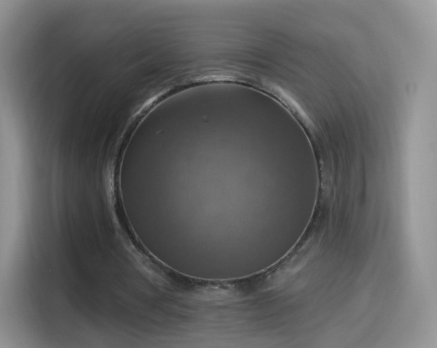 X0000115360386200911101201
