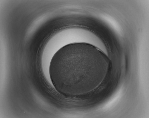 X0000115360387200911101201