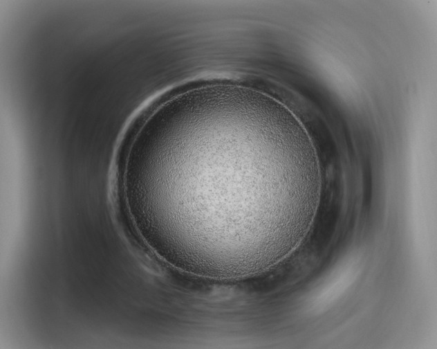 X0000115360388200911101201