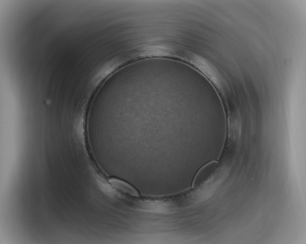 X0000115360389200911101201