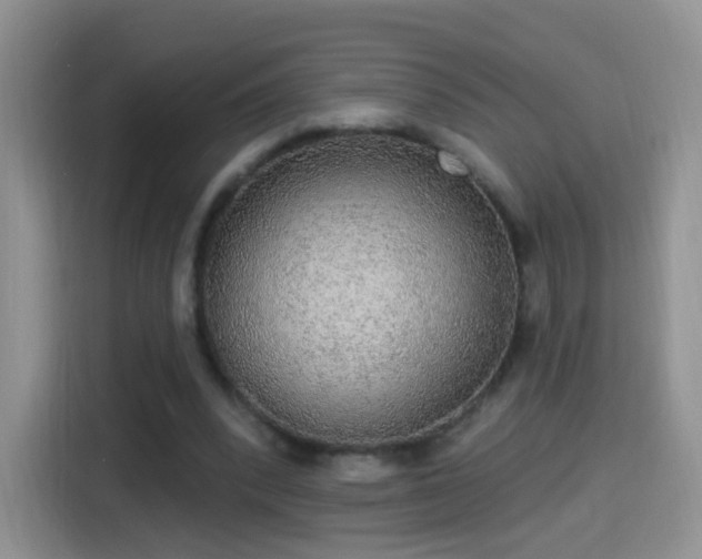 X0000115360392200911101201