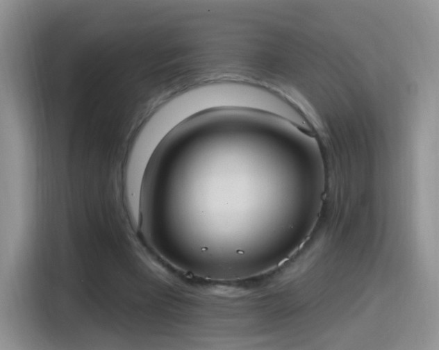 X0000115360393200911101201