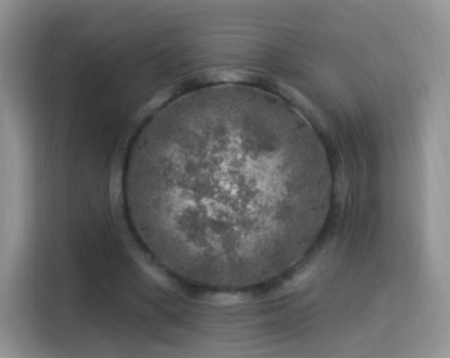 X0000115360394200911101201