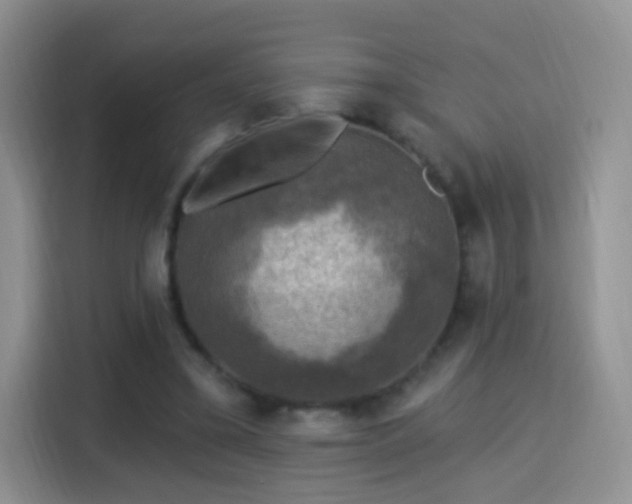 X0000115360395200911101201