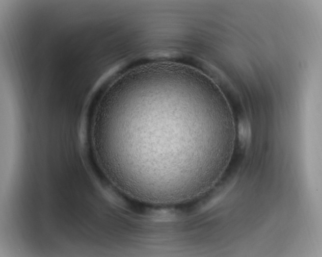 X0000115360396200911101201