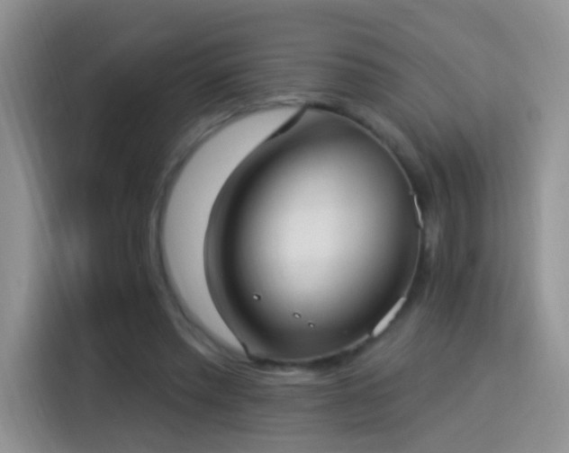 X0000115360397200911101201