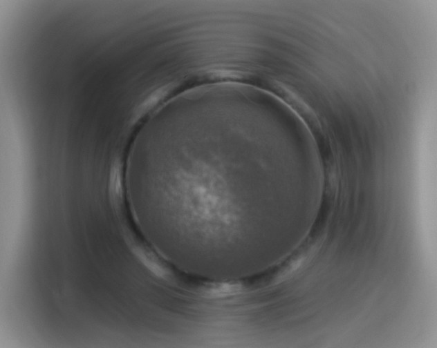 X0000115360398200911101201