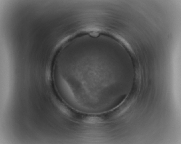 X0000115360399200911101201