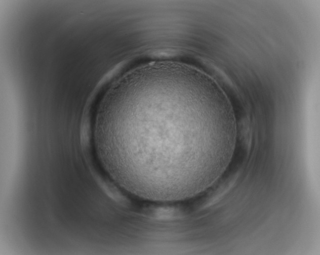 X0000115360400200911101201