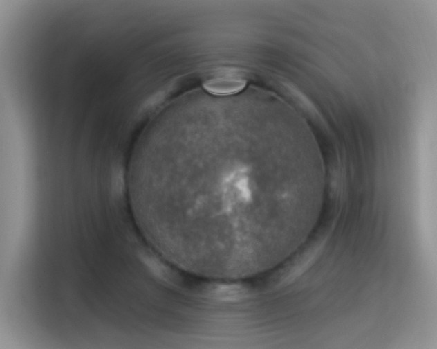 X0000115360401200911101200