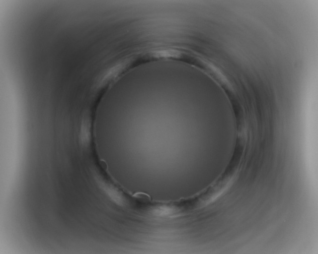 X0000115360402200911101200