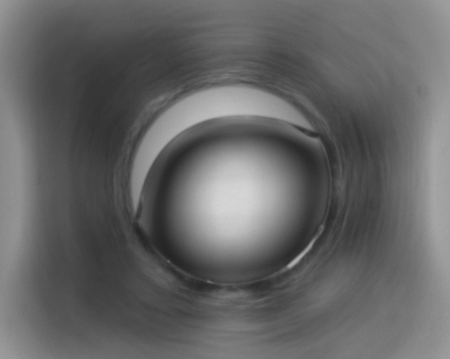 X0000115360403200911101200