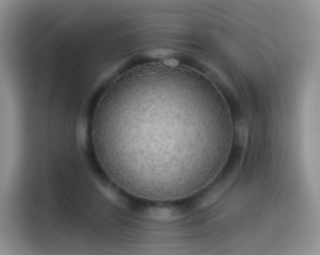 X0000115360404200911101200