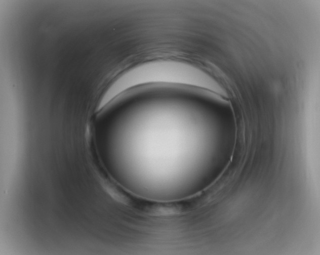 X0000115360405200911101200
