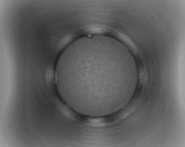 X0000115360407200911101200