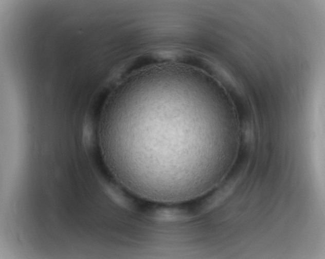 X0000115360408200911101200