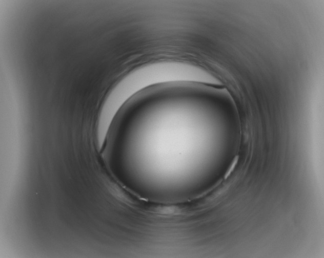 X0000115360409200911101200