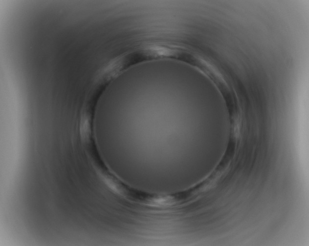 X0000115360410200911101200