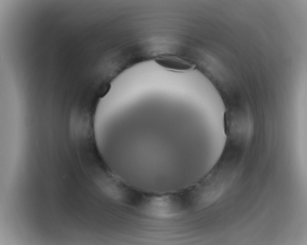 X0000115360411200911101200