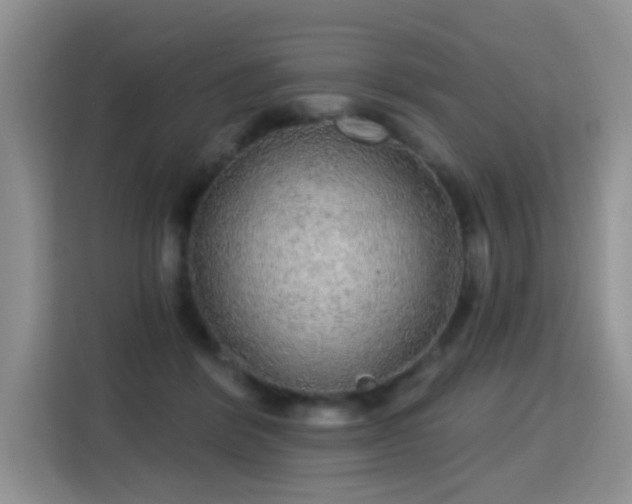 X0000115360412200911101200