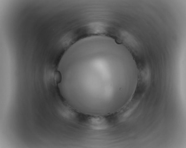 X0000115360415200911101200