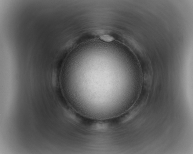 X0000115360416200911101200