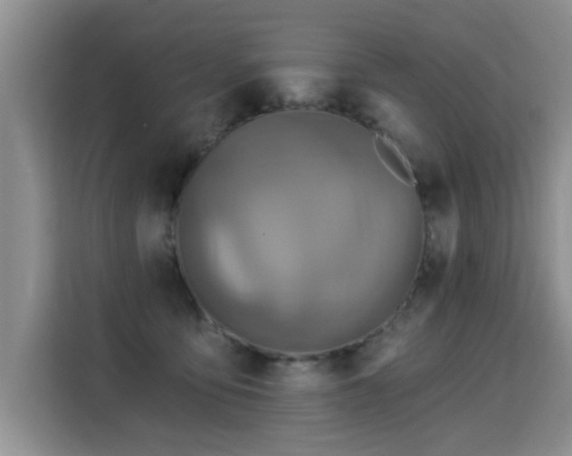 X0000115360419200911101200