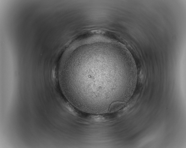 X0000115360424200911101200