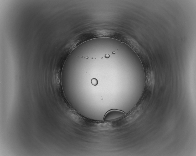 X0000115360426200911101200