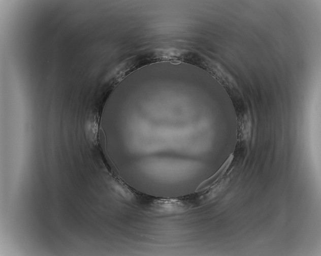 X0000115360427200911101200