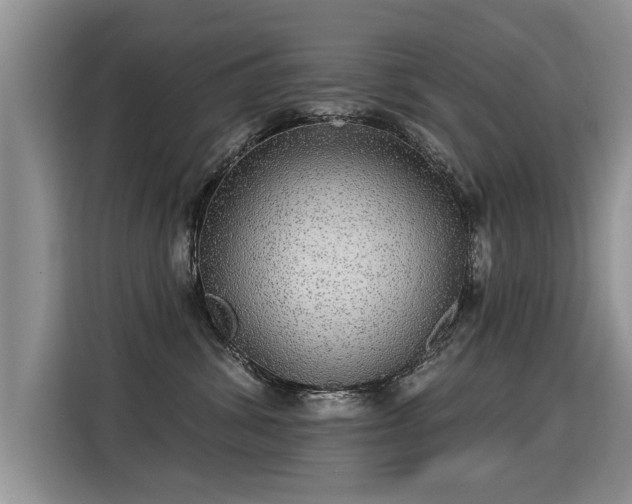 X0000115360428200911101200