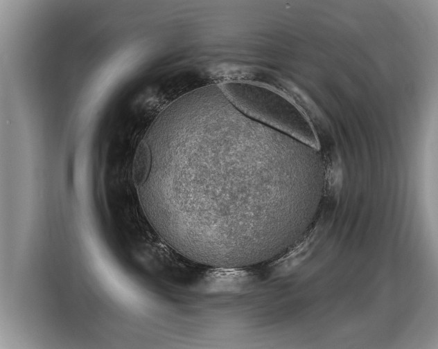 X0000115360429200911101200