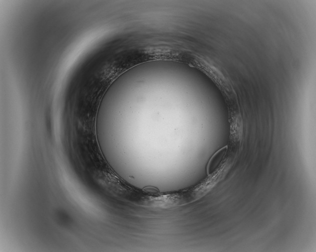 X0000115360430200911101200