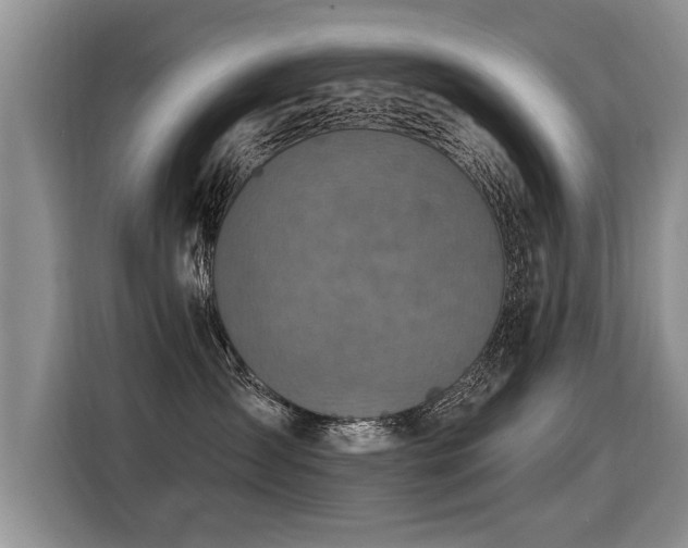 X0000115360431200911101200