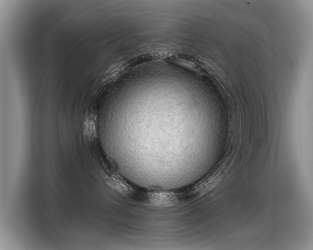 X0000115360432200911101200