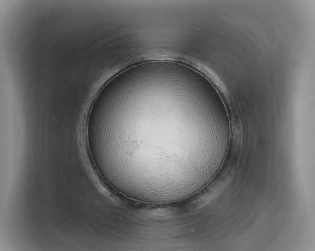 X0000115360433200911101159