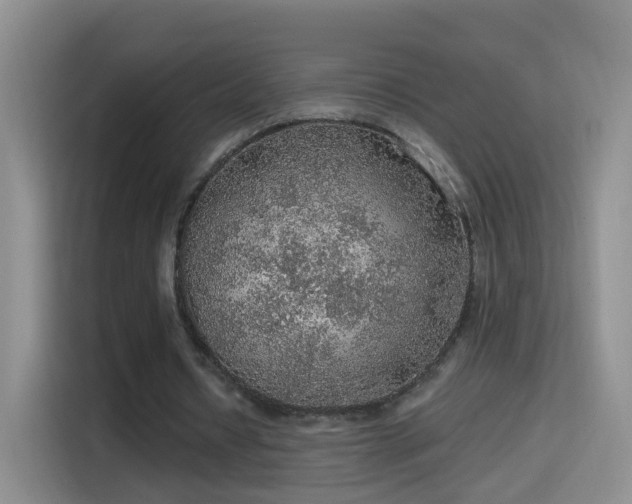 X0000115360434200911101159